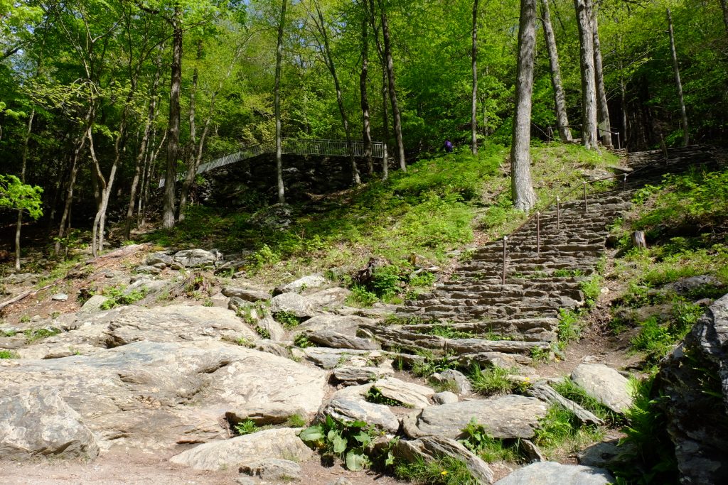A rocky staircase leading upward on a hiking trail.
