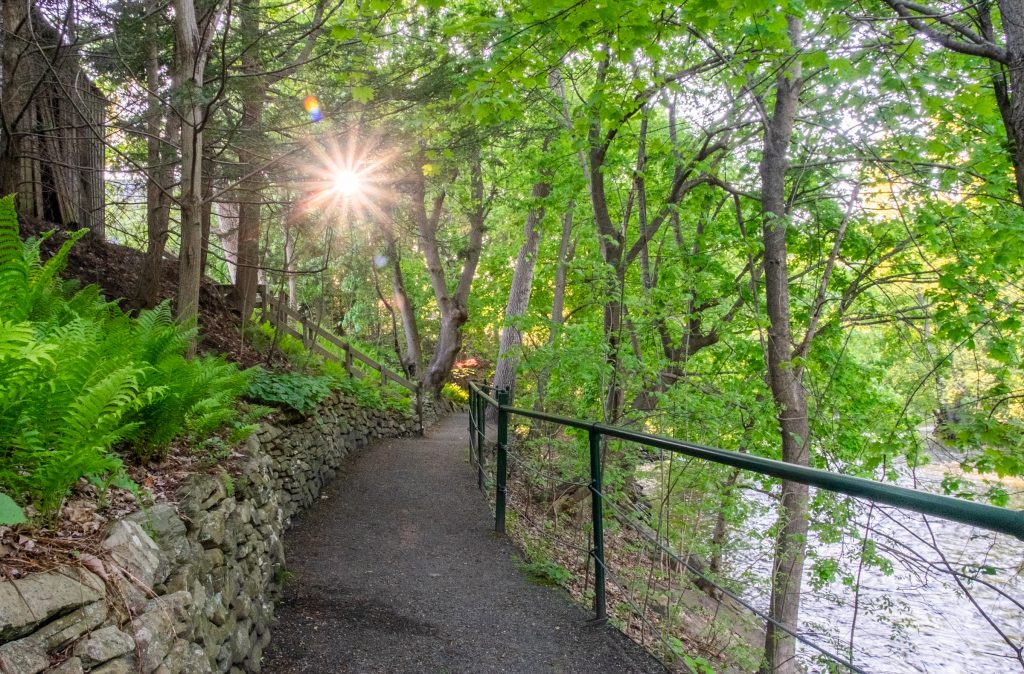 A walking path along a river in a forest, the sun peeking through trees like a sunburst.