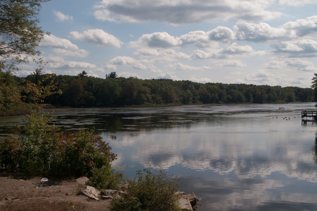 Pond Meadow Park in Braintree MA on a sunny day with clouds in the sky reflected onto the water
